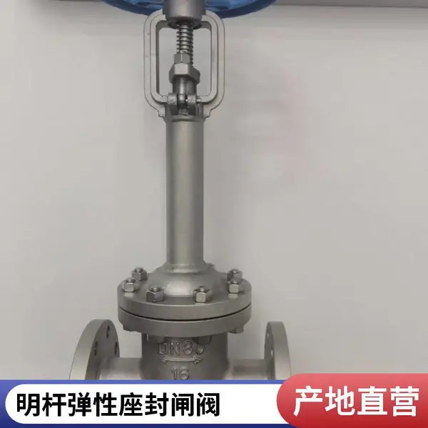 美标不锈钢闸阀 法兰连接 耐高温高压 化工介质输送 江苏直销