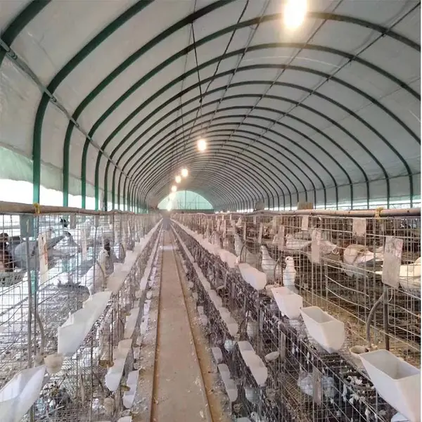 博利建造 水产大棚 智能温室大棚 镀锌管鱼虾温室 耐腐蚀