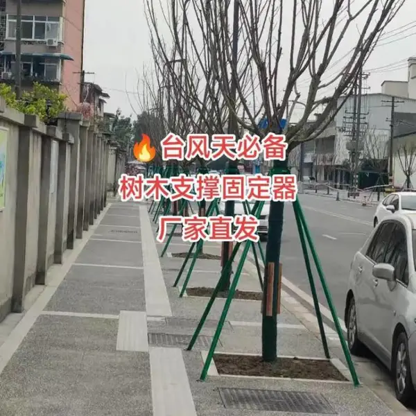 多尺寸加厚镀锌管支架 市政行道树防倒加固架户外绿植稳定支撑架