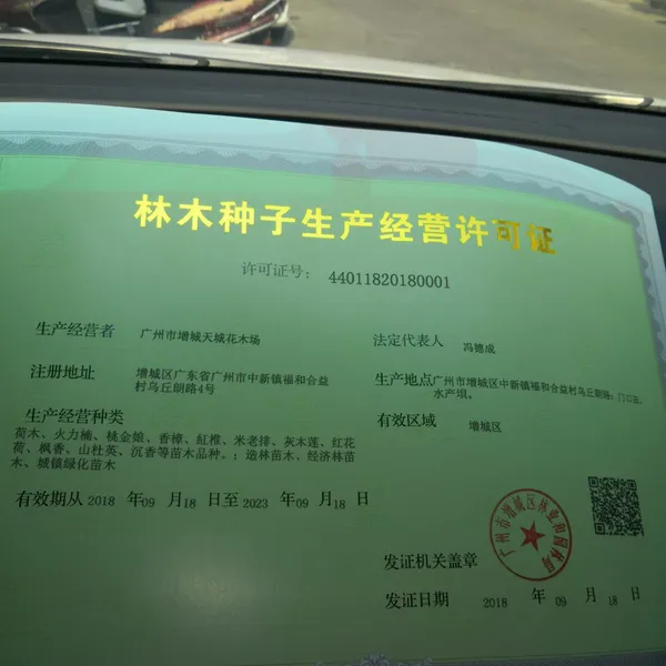 林木种子生产经营许可证
