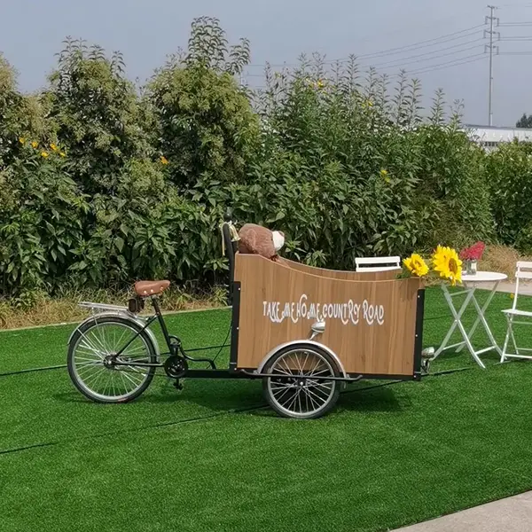 杰克森倒骑三轮车移动货运自行车小吃零售展示外贸出口车