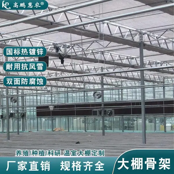 锡林浩特市丰水梨土墙体大棚管材按需设计