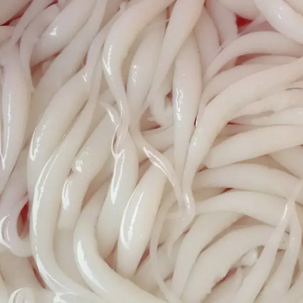 达州凉虾机厂家制造 米凉虾机价格 全自动凉虾机招商