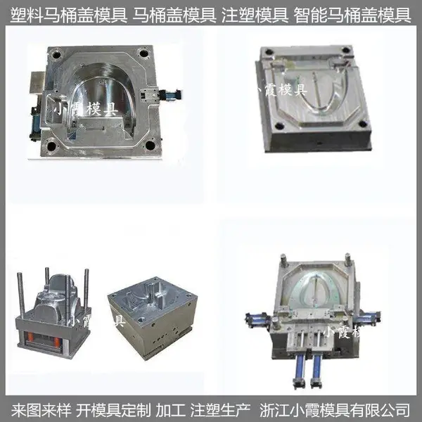 中国注塑模具坐便器模具