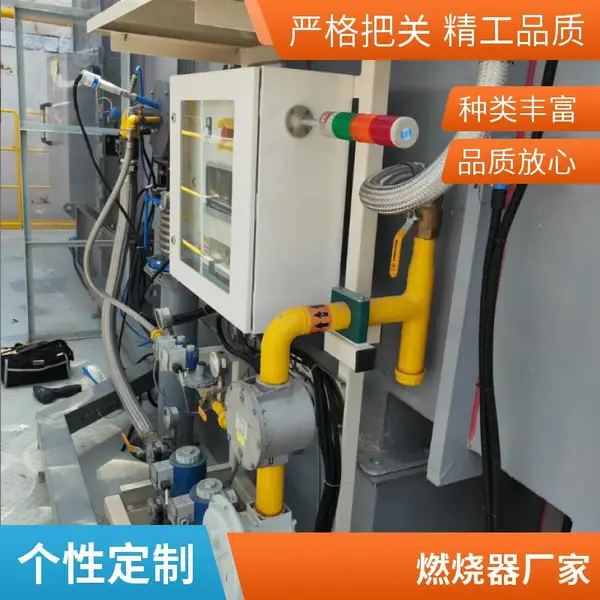 岱鼎燃烧水套炉废酸焚烧炉转炉煤气天然气烧嘴燃烧系统源头厂家