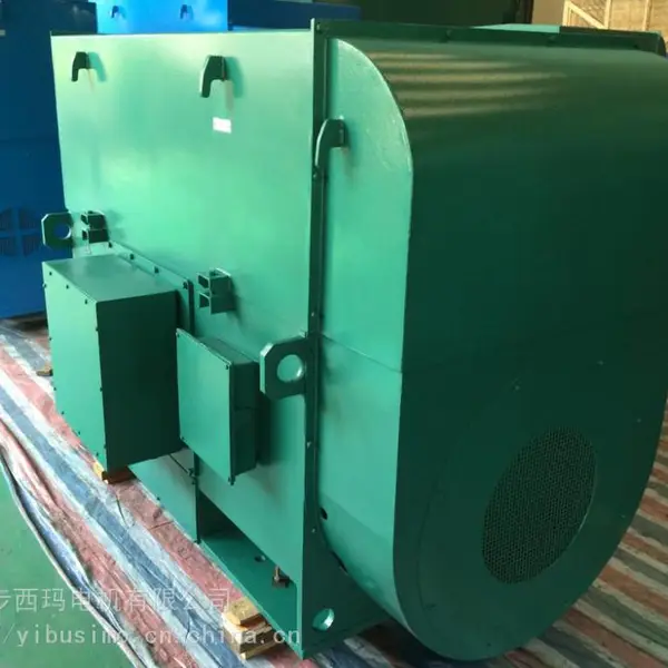����������Y5004-10/315KW/10KV��ѹ��ˢֱ�����ԭ��***