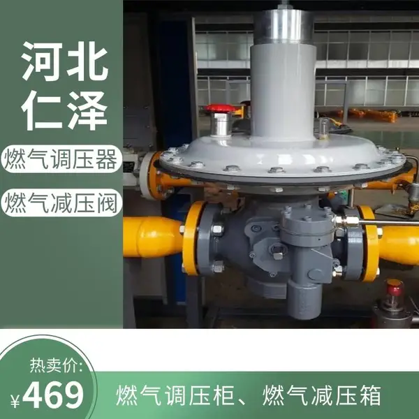 仁泽环保 CNG燃气调压箱 天然气调压减压设备 调压器 LNG汽化减压撬
