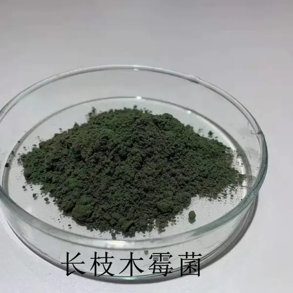 ��Ӧ�ݺ� ��֦ľù�� 10-50��/�� ���ز翹�������� �޸�����