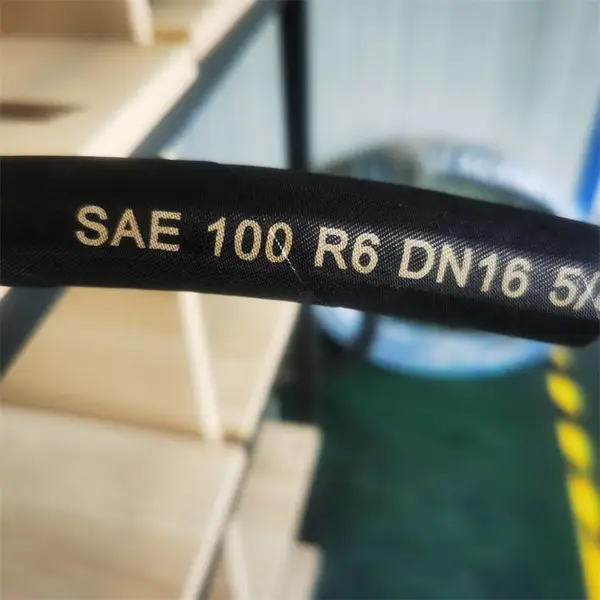ŷ��רҵ����100R6dn8�Ͳ����ͼ��߽�����������