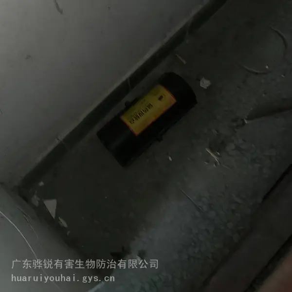 博尔塔拉除马蜂窝 博尔塔拉除蟑螂机构 采用安全无害的除虫方法