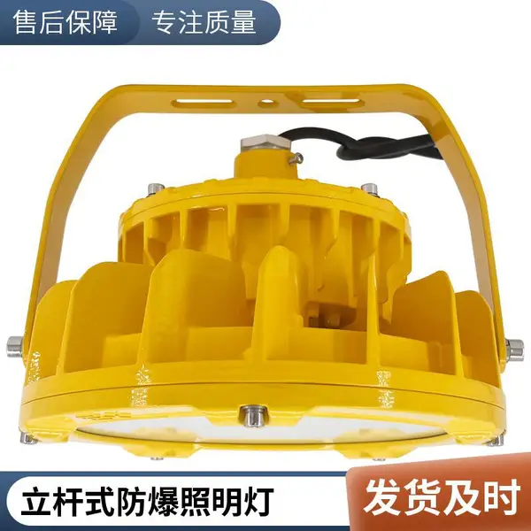防爆泛光灯 150W LED防爆投光灯 粮仓除尘间照明 安全电压可选