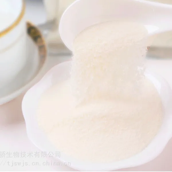 奶油粉NY65供应天骄凯瑞玛植脂末奶精奶制品原料25公斤/袋