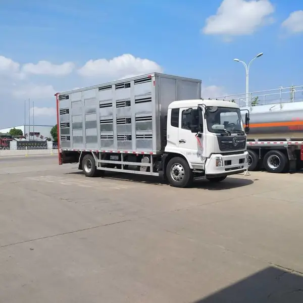 国六中型畜禽猪苗鸡苗运输车 大猪小猪转运车运猪车