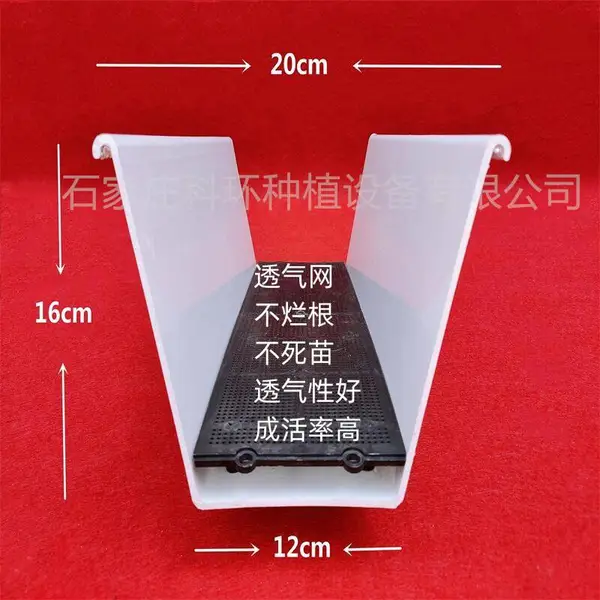 ��ݮ����������ֲ����ֲ��,���������,PVC�����