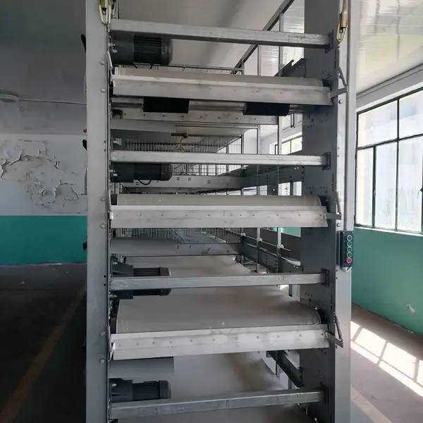 自动化蛋鸡设备 蛋鸡笼 皮带清粪机 航车式喂料机 自动捡蛋集蛋器