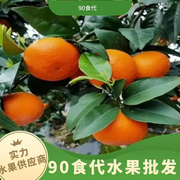 ˮ���� ���� Ӧ���ͻ����� ��� �ָ� ���� ��ϵ�绰�� ��ˮ���� ���г�