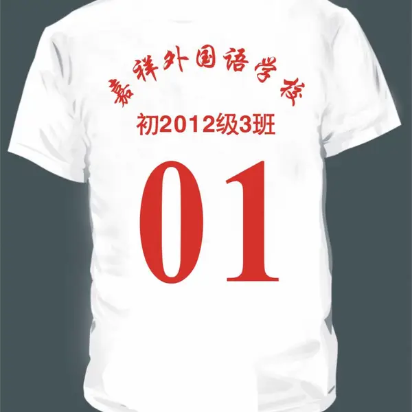 成都丝印T恤印制_衣服印字图logo印花_文化衫广告衫印字印图_球衣球服印制编号码来料加工刺绣彩印反光字图
