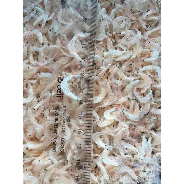 出口级虾皮,出口到日本海米,出口韩国虾米,出口欧盟虾仁