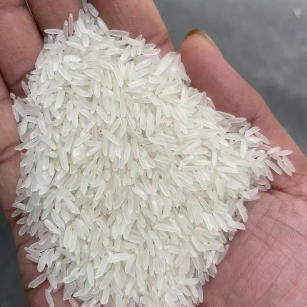越南ST香米