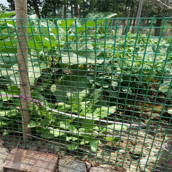 菜园子防护网 绿色浸塑隔离网 包塑低碳丝护栏