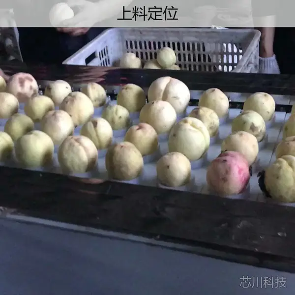 百喜利桃子去核切瓣机 黄桃罐头加工设备