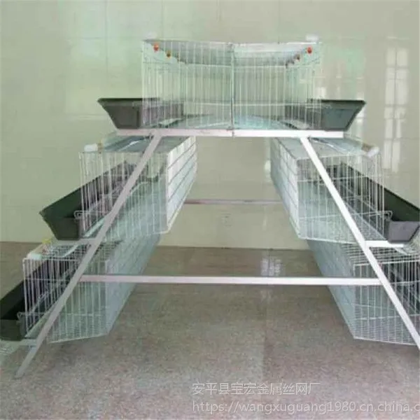 生产层叠式阶梯式蛋鸡笼 蛋鸡笼养鸡设备