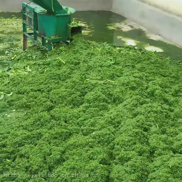 多功能粉碎机 干秸秆红薯木材粉碎机 家用小型青草打浆机