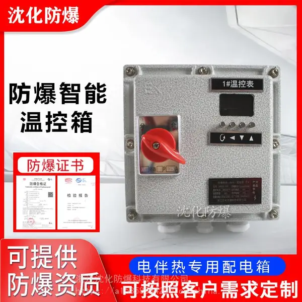 定制数字显示仪表防爆温控箱 带透视窗配电箱 电伴热按键操控配电柜