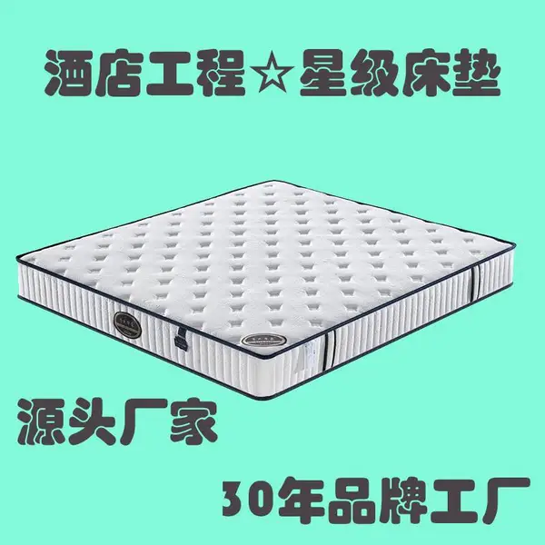 1.5m1.8m米环保棕床垫 棕垫 席梦思弹簧床垫 海绵床垫 酒店家用床垫厂家批发定制