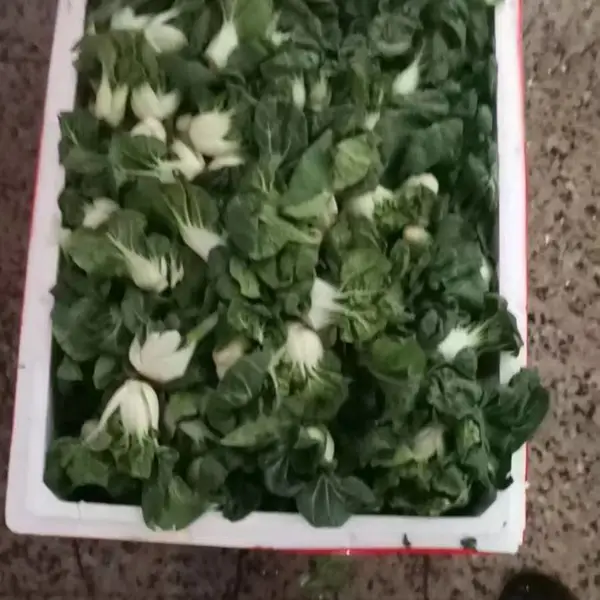 深圳市宝安区蔬菜配送 公司送 货到家 质量保证 按需求配送