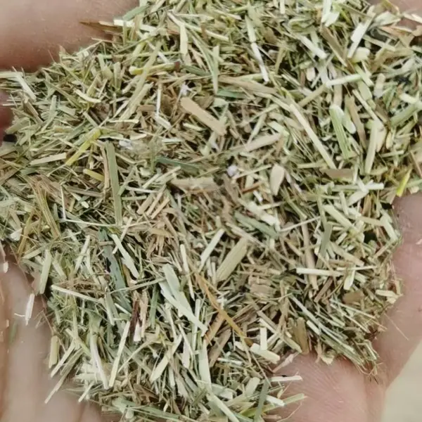 羊草粉饲料原料牧草可做兔饲料自配料添加的饲料草粉,碱草粉价格便宜,品质稳定可替代花生秧草粉,碱草粉