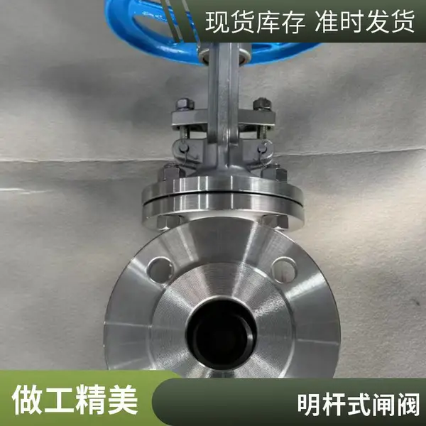 江苏美标不锈钢闸阀 法兰式大口径DN300 污水系统不锈钢闸门阀 厂家现货