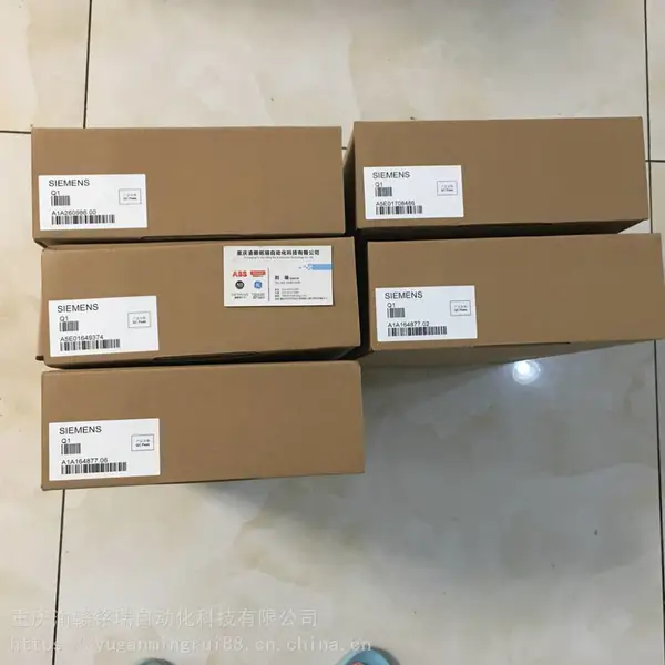 佳乐模块GS75102101-1//我可以让你品尝这样的大米。