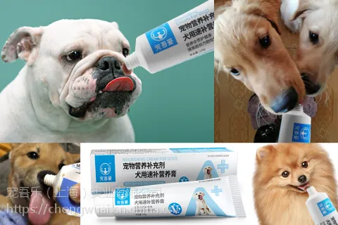 宠吾爱犬用速补营养膏 120g/支