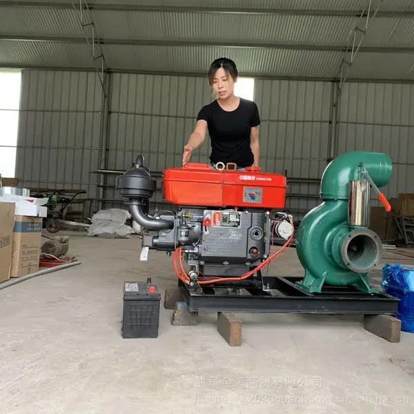 工业环保汽油抽水泵 园林灌溉抽水泵 移动式柴油抽水机