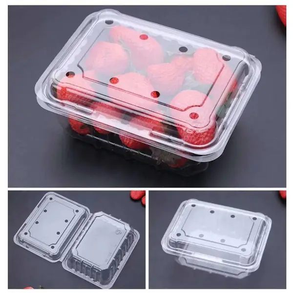 果蔬保鲜盒 草莓包装盒 透明塑料盒