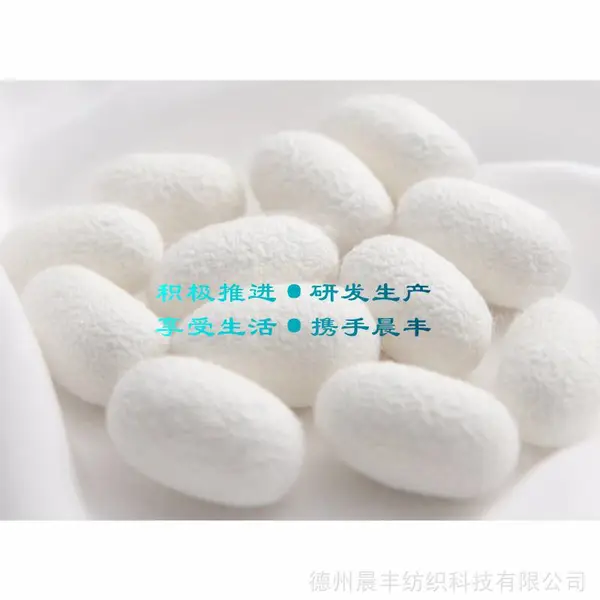 晨丰纺织 生产 蚕蛹蛋白纤维纱线 滑爽如真丝 柔软似羊绒 富含氨基酸