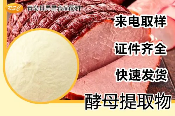 酵母提取物牛肉味 酵母抽提物鸡肉味 青岛酵母提取物厂家 日昇昌酵母提取物