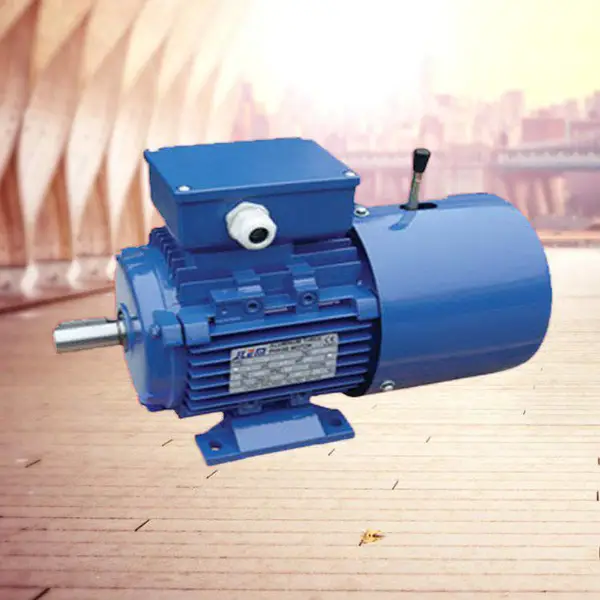 ��Ƶ�ƶ��綯��YVPEJ802-8-0.25KWɲ��������ʽ��ʽ���