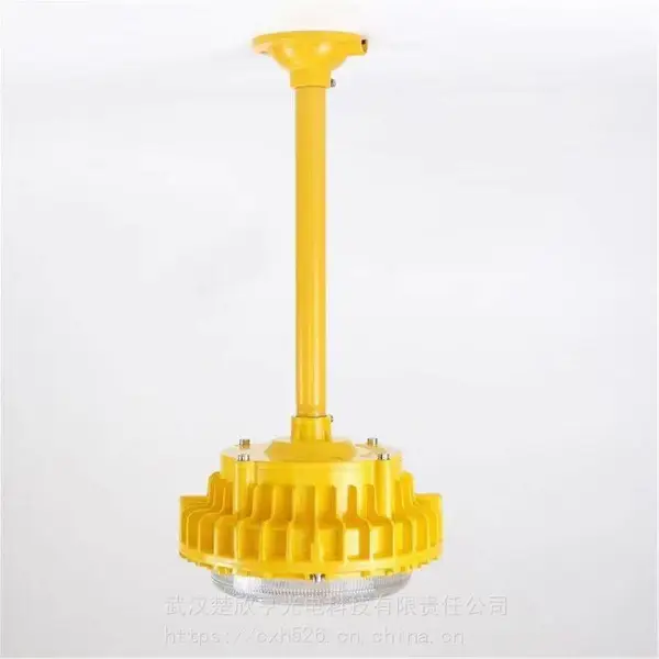 森本防爆灯具|LED防爆灯 BLD120-C-X30 EXd ll CT6 森本智亮防腐节能灯