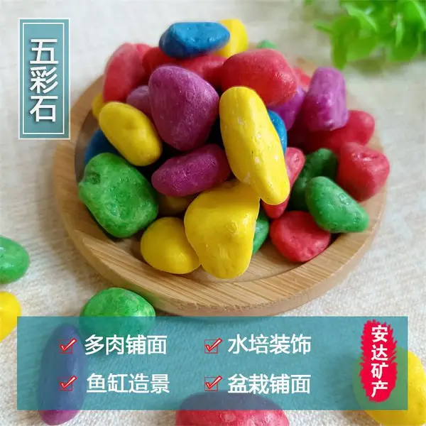 ���ʯ��ֲ���������߲�ʯȾɫ����ʯ���ֳ�ˮ�ز�ɫСʯͷ
