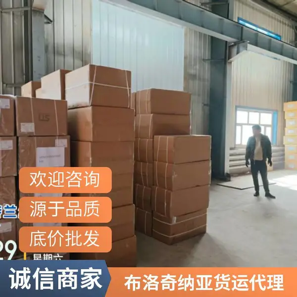 发电动自行车空运海运铁运到俄罗斯 货运代理双清关全时速