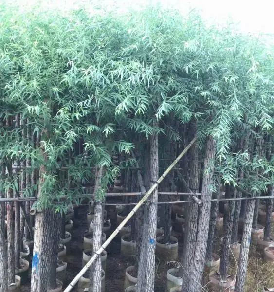 ��������������-�����д���������-ˮ����������۸�� -ˮ�����繩Ӧ��