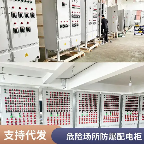 防爆配电箱非标定制 Exdb IIBT6 防爆照明箱 防爆配电柜 壁挂防爆开关箱 IP66