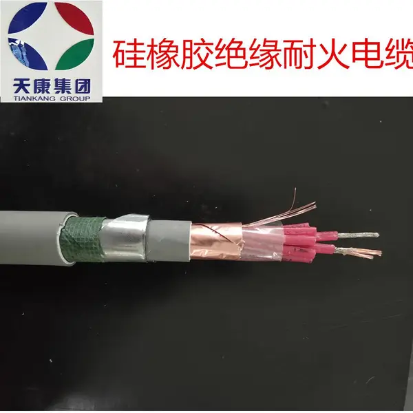 NHGBGPE24 12*1.0 硅橡胶绝缘低烟无卤护套铠装电缆 天康耐火电缆