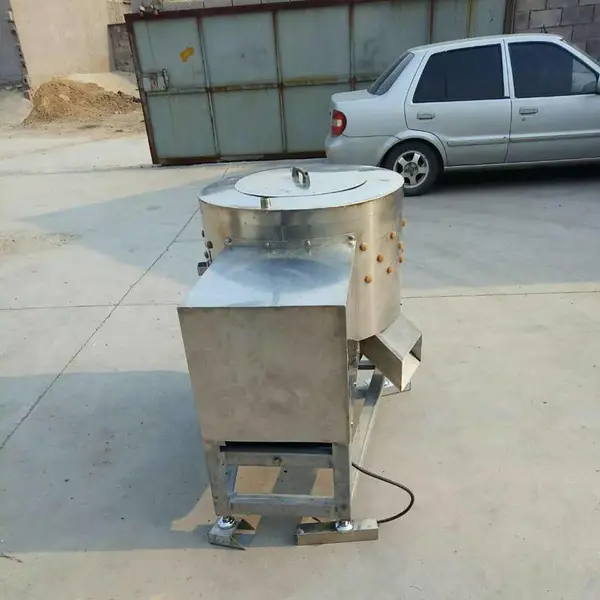 ʵ�峧��Ӧ��צȥƤ�� ���ͼ���ȥ��Ƥ����צ��
