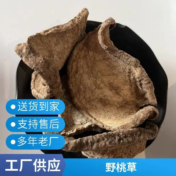 无硫中药材野桃草干品 正宗原形态药材合钹草
