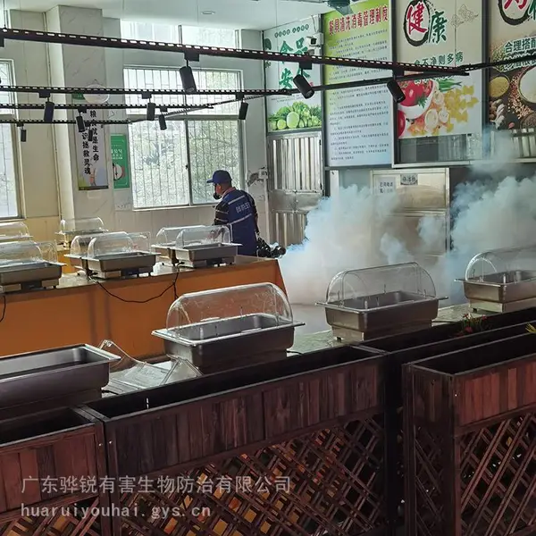 扬州灭苍蝇 扬州蚊蝇消杀服务 预约上门 快速处置