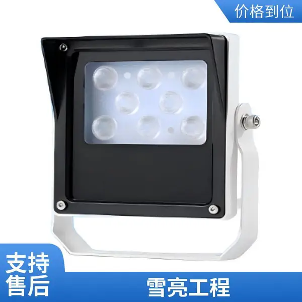 LED��ز���ư׹ⲹ��100W��������ͷҹ�Ӳ����AC220V�׹��