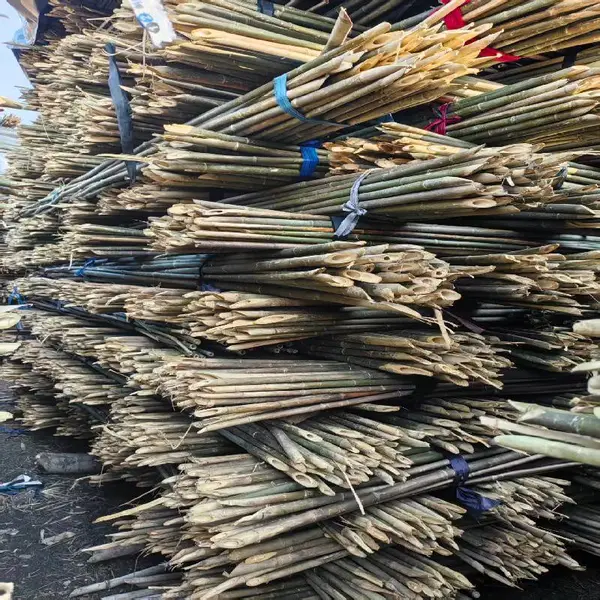菜园支撑竹竿 搭架 2米 粗1.2厘米 细杆 小番茄